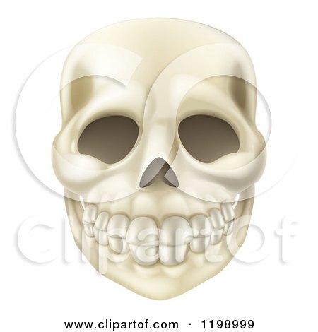 Cartoon of a Smiling Human Skull - Royalty Free Vector Clipart by AtStockIllustration