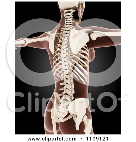 Clipart of a 3d Medical Female Xray with Visible Skeleton on Black - Royalty Free CGI Illustration by KJ Pargeter