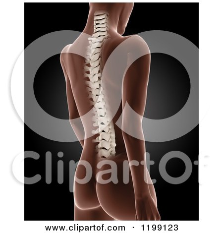 Clipart of a 3d Medical Female Xray with Visible Spine on Black - Royalty Free CGI Illustration by KJ Pargeter