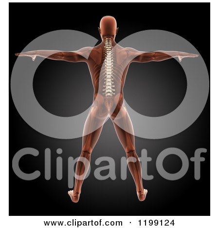 Clipart of a 3d Standing Xray Man with a Spine and Visible Skeleton - Royalty Free CGI Illustration by KJ Pargeter