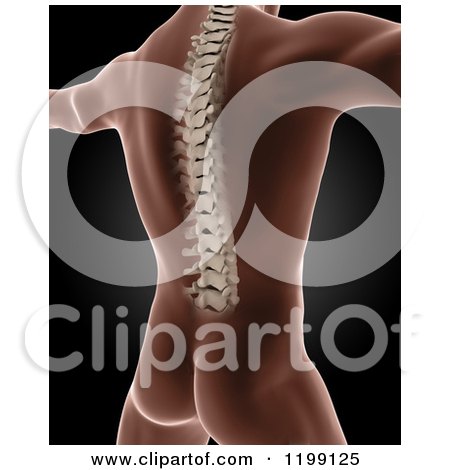 Clipart of a 3d Xray Man with a Visible Spine, Standing with His Arms out - Royalty Free CGI Illustration by KJ Pargeter
