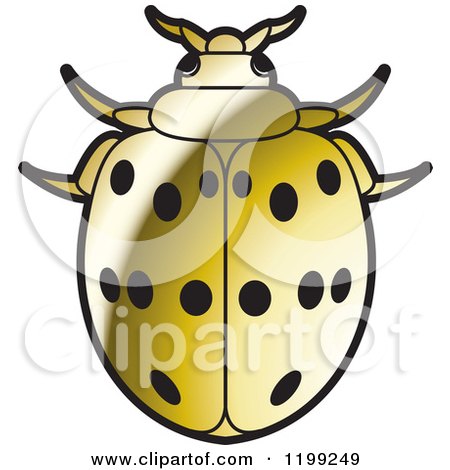 Clipart of a Golden Maxican Bean Lady Beetle - Royalty Free Vector Illustration by Lal Perera