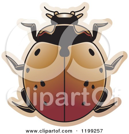 Clipart of a Brown Nine Spotted Lady Beetle - Royalty Free Vector Illustration by Lal Perera