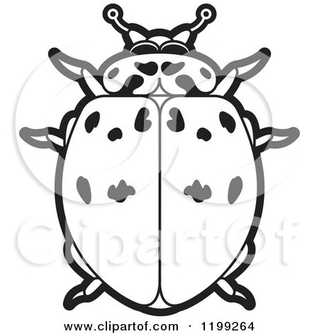 Clipart of a Black and White Ashy Gray Lady Beetle - Royalty Free Vector Illustration by Lal Perera