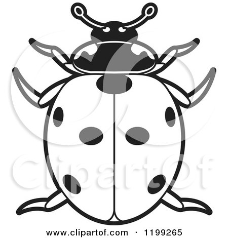 Clipart of a Black and White Spotted Lady Beetle - Royalty Free Vector Illustration by Lal Perera