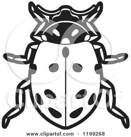 Clipart of a Black and White Convergent Lady Beetle - Royalty Free Vector Illustration by Lal Perera