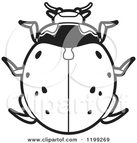 Clipart of a Black and White Nine Spotted Lady Beetle - Royalty Free Vector Illustration by Lal Perera