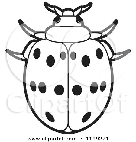 Clipart of a Black and White Maxican Bean Lady Beetle - Royalty Free Vector Illustration by Lal Perera