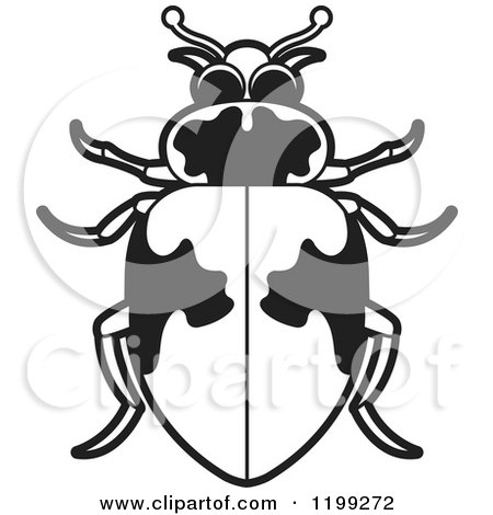 Clipart of a Black and White Hippodamus Lady Beetle - Royalty Free Vector Illustration by Lal Perera