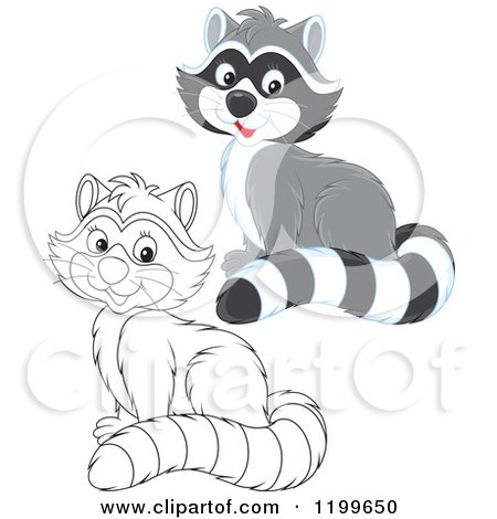 Cartoon of a Black and White and Colored Cute Raccoon Sitting and Smiling - Royalty Free Vector Clipart by Alex Bannykh