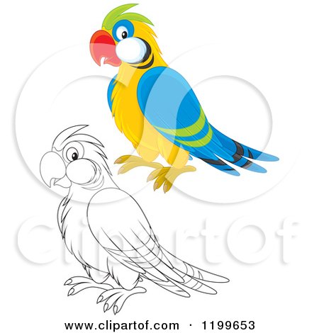 Cartoon of a Black and White and Colored Cute Parrot - Royalty Free Vector Clipart by Alex Bannykh