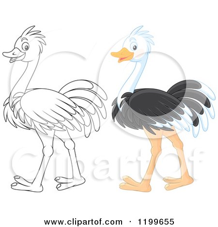Cartoon of a Black and White and Colored Cute Ostrich Walking - Royalty Free Vector Clipart by Alex Bannykh