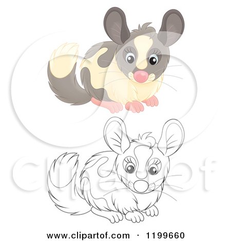Cartoon of a Colored and Line Art Cute Chinchilla - Royalty Free Clipart by Alex Bannykh