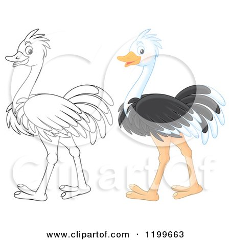 Cartoon of a Colored and Line Art Cute Ostrich - Royalty Free Clipart by Alex Bannykh