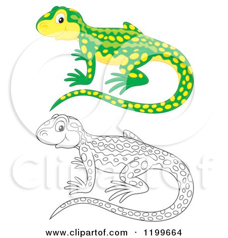 Cartoon of a Colored and Line Art Cute Newt - Royalty Free Clipart by Alex Bannykh