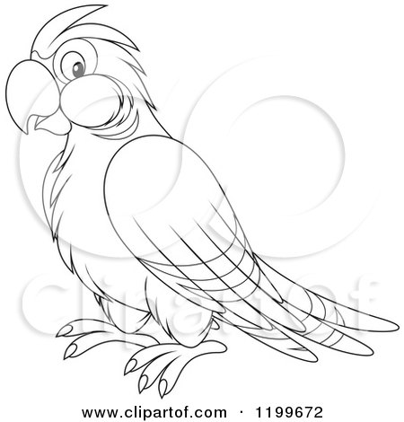 Cartoon of a Black and White Cute Parrot Royalty Free