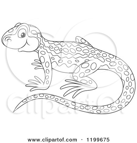 Cartoon of a Black and White Cute Newt - Royalty Free Vector Clipart by Alex Bannykh