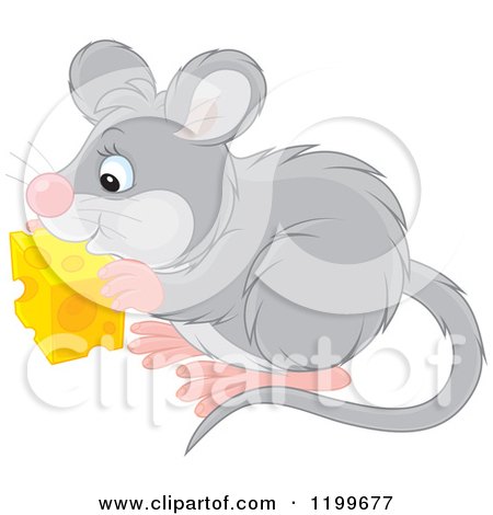 Cartoon of a Cute Gray Mouse Eating Cheese - Royalty Free Vector Clipart by Alex Bannykh