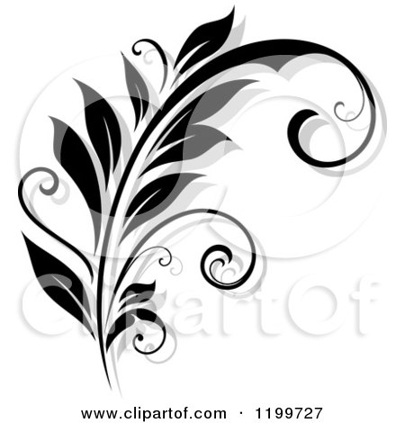 Clipart of a Black and White Flourish with a Shadow 10 - Royalty Free Vector Illustration by Vector Tradition SM