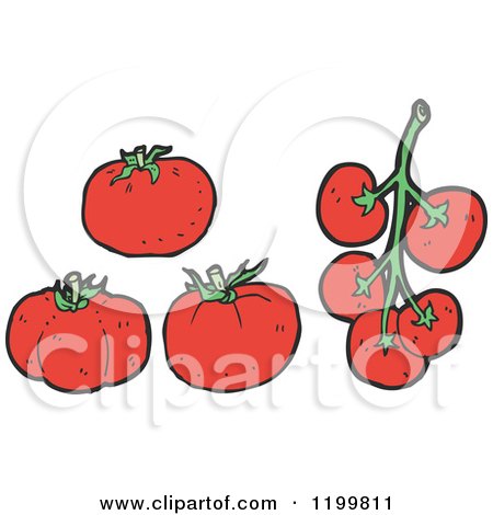 Cartoon of Tomatoes - Royalty Free Vector Illustration by lineartestpilot