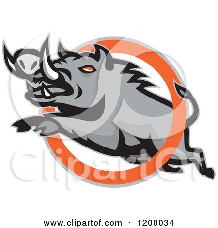Clipart of a Mad Angry Razorback Boar Leaping Through a Ring - Royalty Free Vector Illustration by patrimonio