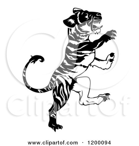 Clipart of a Black and White Rearing Chinese Zodiac Tiger - Royalty Free Vector Illustration by AtStockIllustration