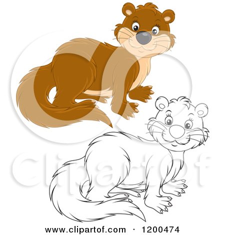 Cartoon of a Cute Brown and Black and White Otter - Royalty Free Vector Clipart by Alex Bannykh