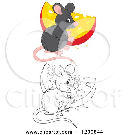 Cartoon of an Outlined and Colored Cute Mouse with a Cheese Wedge - Royalty Free Vector Clipart by Alex Bannykh