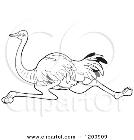 Cartoon of a Black and White Running Ostrich - Royalty Free Vector Clipart by Lal Perera
