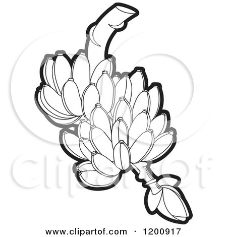 Clipart of a Fresh Bunch of Black and White Bananas - Royalty Free Vector Illustration by Lal Perera