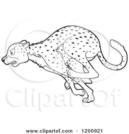 Cartoon of a Black and White Outlined Running Cheetah - Royalty Free Vector Clipart by Lal Perera