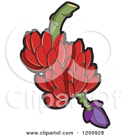Clipart of a Fresh Bunch of Red Bananas - Royalty Free Vector Illustration by Lal Perera