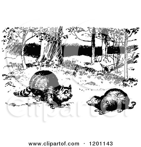 Clipart of a Vintage Black and White Raccoon and Possum - Royalty Free Vector Illustration by Prawny Vintage