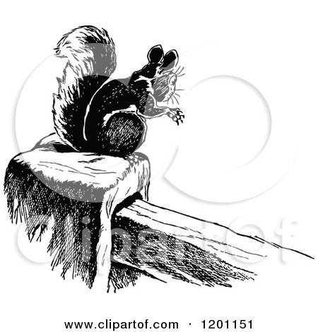 Clipart of a Vintage Black and White Squirrel on a Post - Royalty Free Vector Illustration by Prawny Vintage