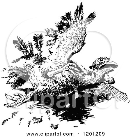 Clipart of a Vintage Black and White Injured Turkey Bird - Royalty Free Vector Illustration by Prawny Vintage