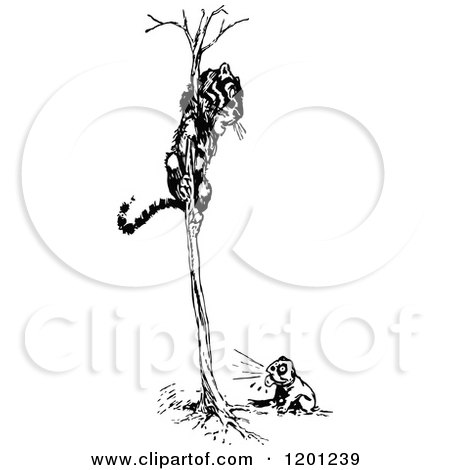 Clipart of a Vintage Black and White Dog Chasing a Tiger in a Tree - Royalty Free Vector Illustration by Prawny Vintage