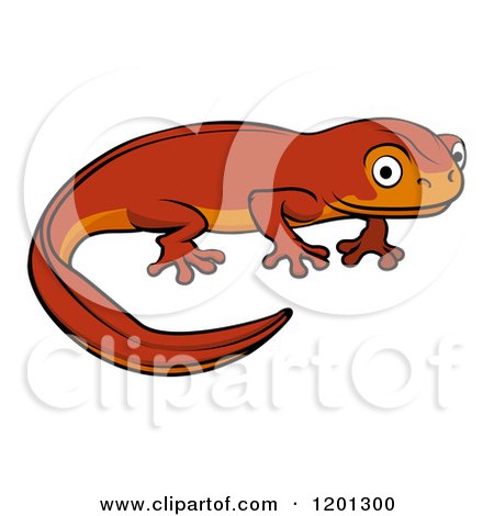 Cartoon of a Cute Orange Newt - Royalty Free Vector Clipart by AtStockIllustration