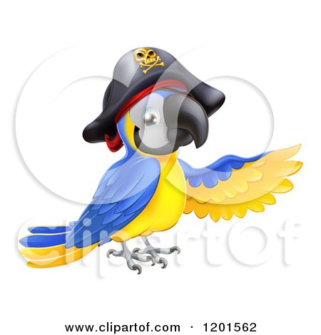 Cartoon of a Pointing Blue and Gold Macaw Pirate Parrot - Royalty Free Vector Clipart by AtStockIllustration