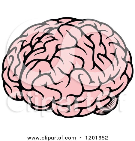 Clipart of a Pink Human Brain - Royalty Free Vector Illustration by Vector Tradition SM
