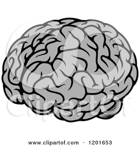 Clipart of a Gray Human Brain - Royalty Free Vector Illustration by Vector Tradition SM