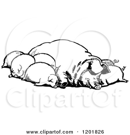 Clipart of a Vintage Black and White Group of Sleeping Pigs - Royalty Free Vector Illustration by Prawny Vintage