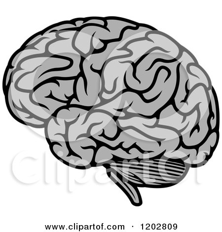 Clipart of a Gray Human Brain 2 - Royalty Free Vector Illustration by Vector Tradition SM