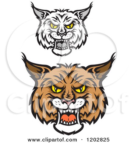Clipart of Hissing Bobcat Faces - Royalty Free Vector Illustration by Vector Tradition SM