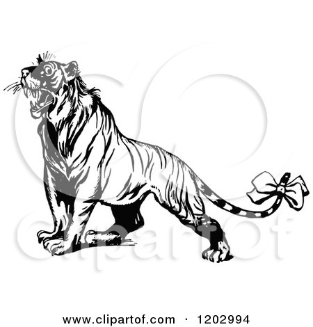 Clipart of a Vintage Black and White Oz Tiger - Royalty Free Vector Illustration by Prawny Vintage