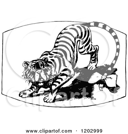 Clipart of a Vintage Black and White Oz Tiger - Royalty Free Vector Illustration by Prawny Vintage
