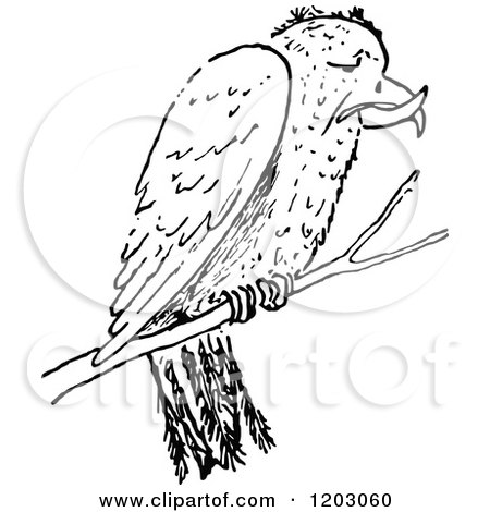 Clipart of a Vintage Black and White Crossbill Bird - Royalty Free Vector Illustration by Prawny Vintage
