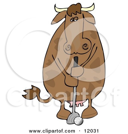 Brown Cow Putting a Golf Ball Cartoon Clipart by djart