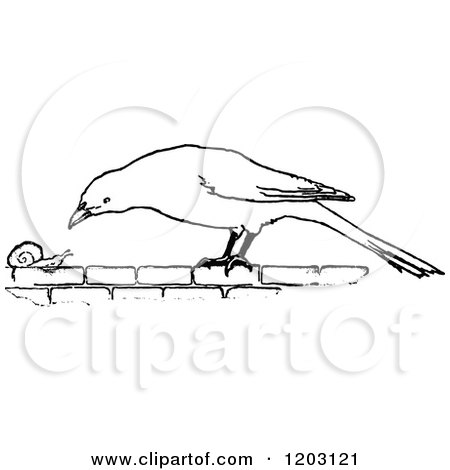Clipart of a Vintage Black and White Bird and Snail - Royalty Free Vector Illustration by Prawny Vintage