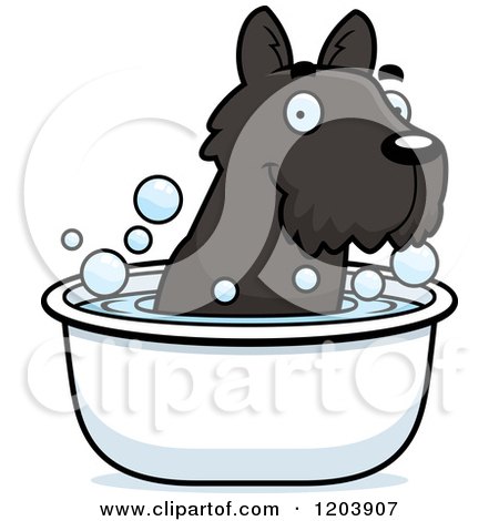 Cartoon of a Cute Scottish Terrier Puppy Taking a Bath - Royalty Free Vector Clipart by Cory Thoman