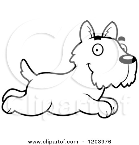 Cartoon of a Black And White Cute Scottish Terrier Puppy Running - Royalty Free Vector Clipart by Cory Thoman